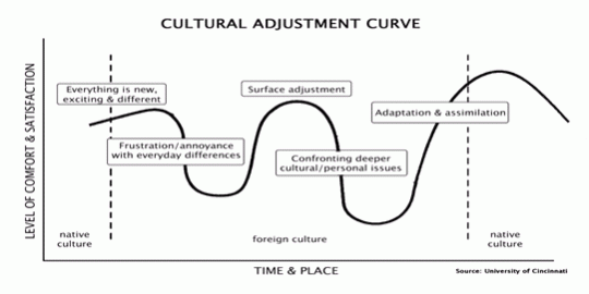 culture-shock-u-curve-39